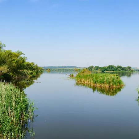 Hébergement de vacances In - Balaton 18050 Balatonberény